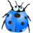 insect blue Icon
